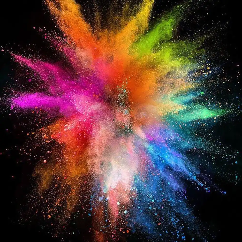 holi sale
